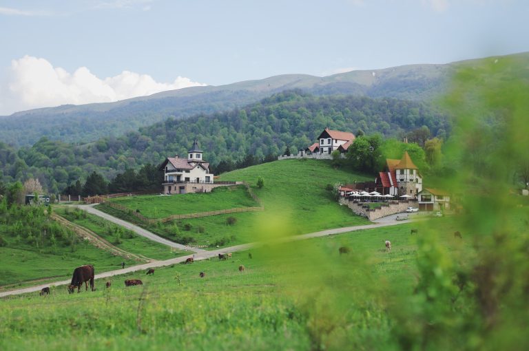 Processed with VSCO with f2 preset